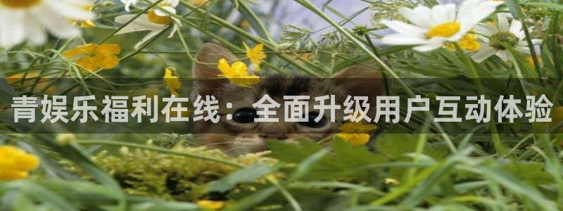 新时代下载
